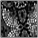 black-cotton-lace