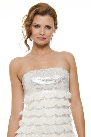 Beaded Lace and Organza Ruffles Dress