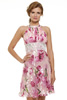 Burnout Chiffon Pleated Dress